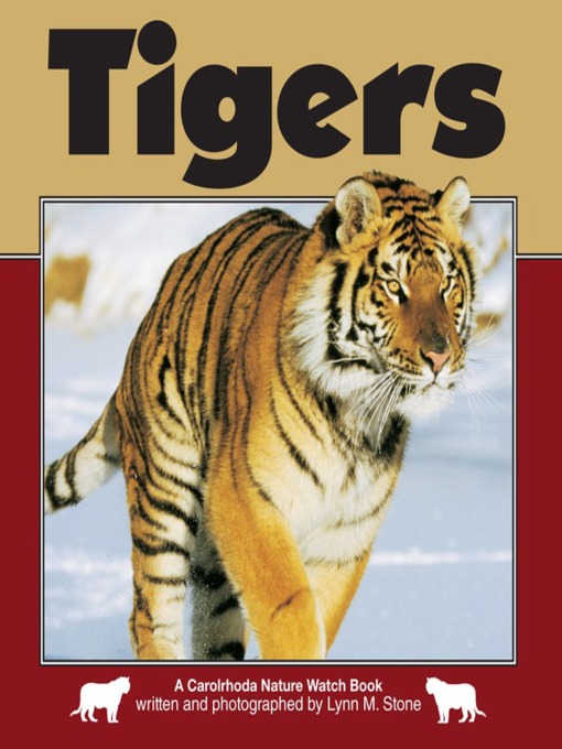 Title details for Tigers by Lynn M. Stone - Available